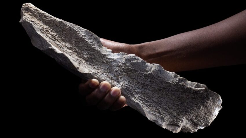 bone6 1152x648