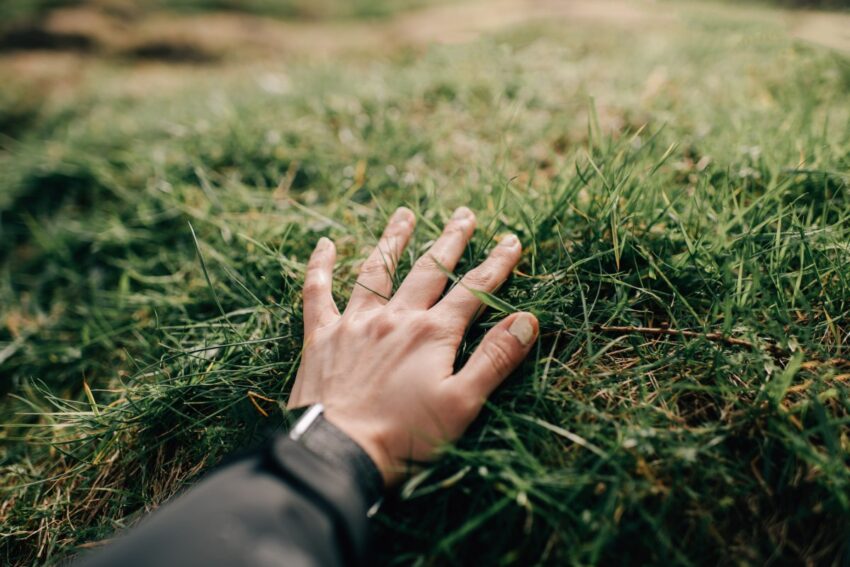 touch grass