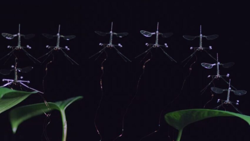 robobee1CROP 1152x648