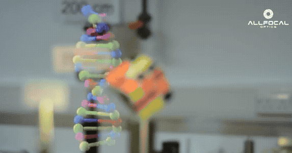 VerityGif