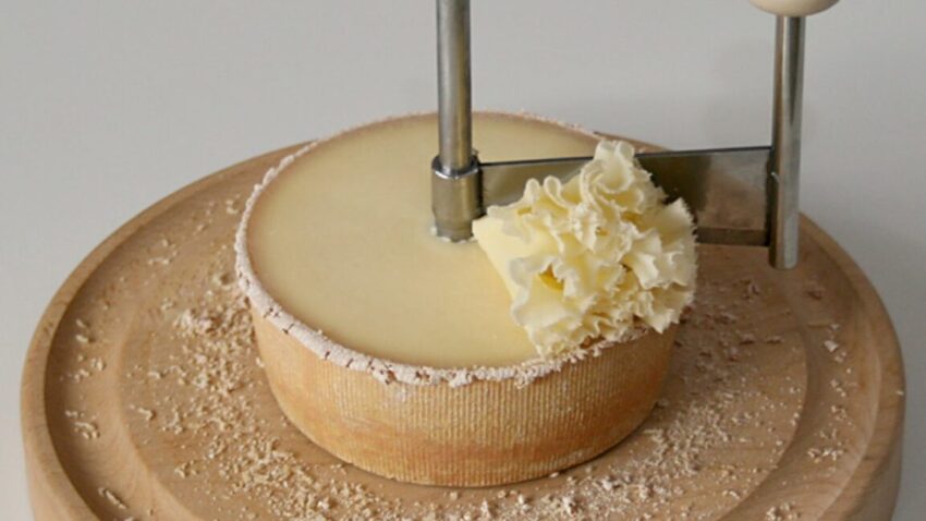 cheeseTOP 1152x648 1747746083