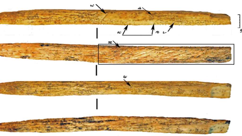 spear point 1152x648