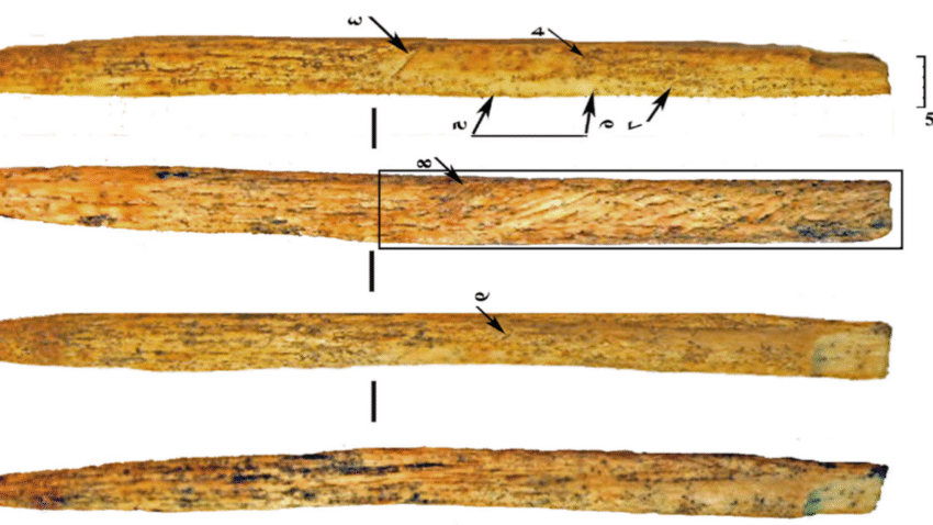 spear point 1152x648